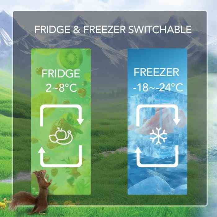 Super General 215L Upright Freezer SGUF301NFDCI, Inverter Compressor, No Frost, Reversible Door, LED Display with Digital Control