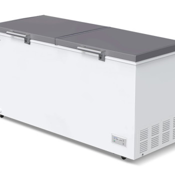 Super General 750L Chest Freezer SGF750HMWL